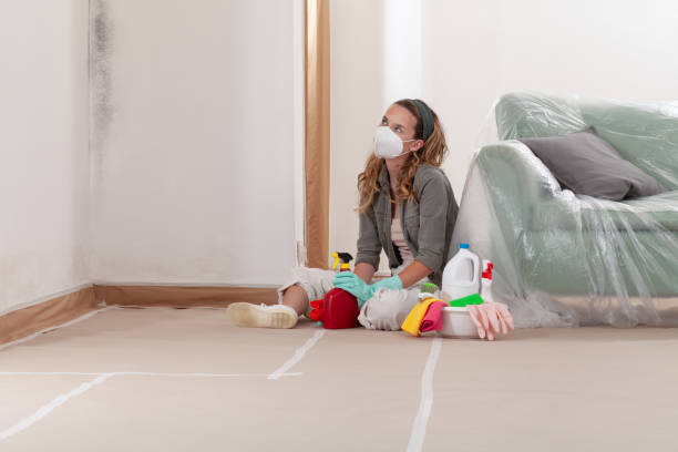 Reliable Mold Testing contractor in Brunswick, GA by WQB Mold Removal